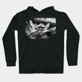 Co-Ordinated Chaos Hoodie